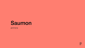 Lorem Ipsum – Test